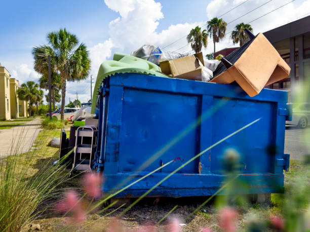Best Yard Waste Removal  in Idaho Springs, CO